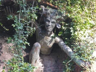 植物,树,小狗,鸟类,山峦,Parkland Walk上的“ Spriggan”