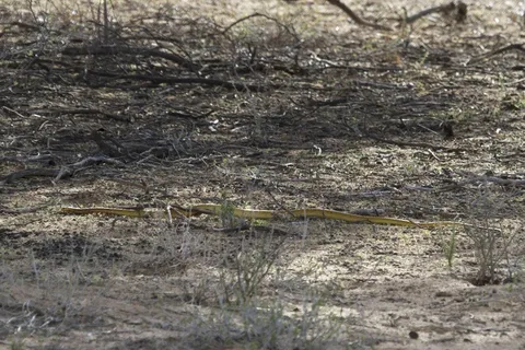 砖石材,板材,树,纪念碑,山峦,IMG_6511