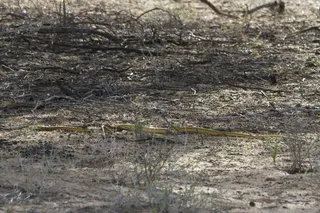 砖石材,板材,树,纪念碑,山峦,IMG_6511