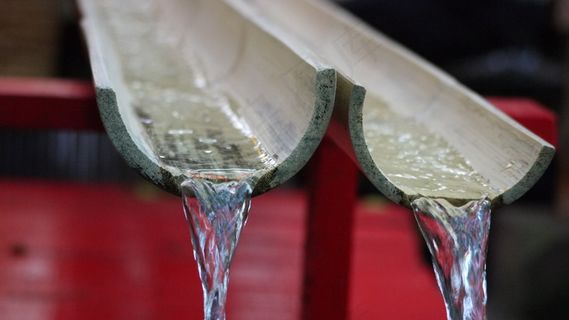 手表,香槟杯,鸡尾酒,酒杯,勺子,Somen