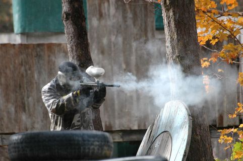 墙,工艺品,环尾狐猴,猎隼,室内一角,漆球