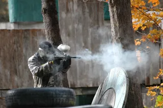 墙,工艺品,环尾狐猴,猎隼,室内一角,漆球