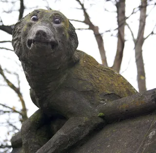 一个...有点...东西...