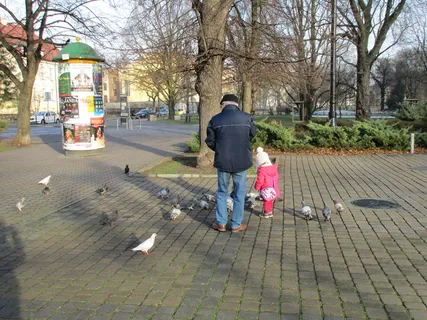 城市街道,巷道,人行道,滑旱冰,街道,喂鸽子 城市街道,巷道,人行道,滑旱冰,街道,喂鸽子