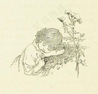 图片取自《土地的摇篮曲》第8页，由A. Strettell收集并翻译成英文经文。带有...插图等'