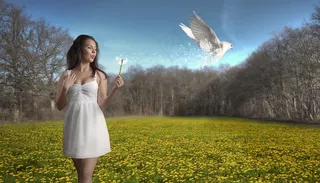 La vie est une fleur。 L'amour en est miel。