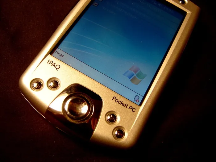 今天要做什么？