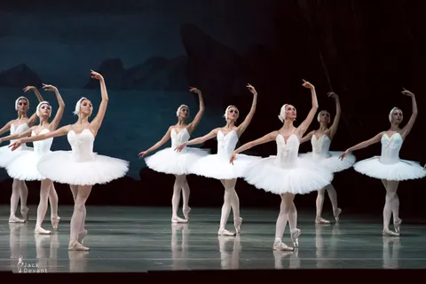 天鹅湖,吸顶灯,形体芭蕾,,芭蕾舞团