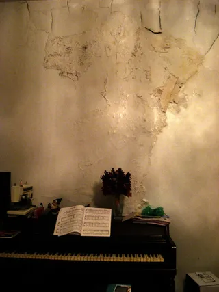 住在房屋中的房屋，房屋的水灰泥墙的污渍形状像南美，地精长出西海岸（画在可擦标记上）