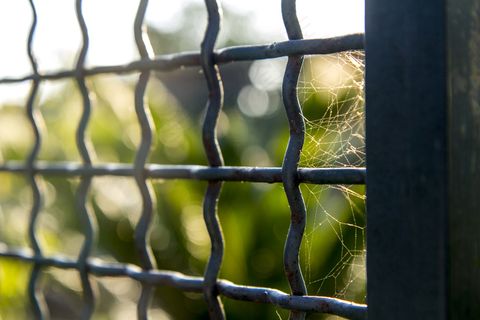 菱形网,栅栏,卷铁丝网,围栏,铁丝栏杆,最直线