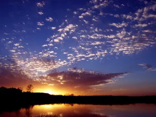 都市夜景,树,霞光,天空,灯,与朋友的日落