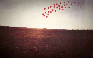 我想起你，随它去。