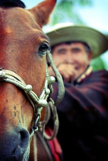 哺乳动物,合照,马,手链,人物特写,蒙古Toilogt营