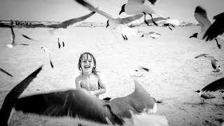 我们绝对没有乐趣喂鸟