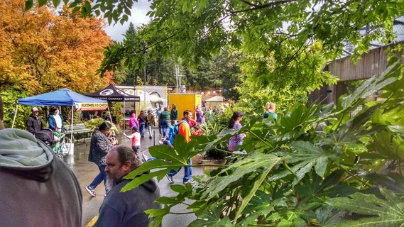 自然公园,园林景观,峡谷,山峦,紫露草属,在俄勒冈动物园排队等候Weird Al音乐会。