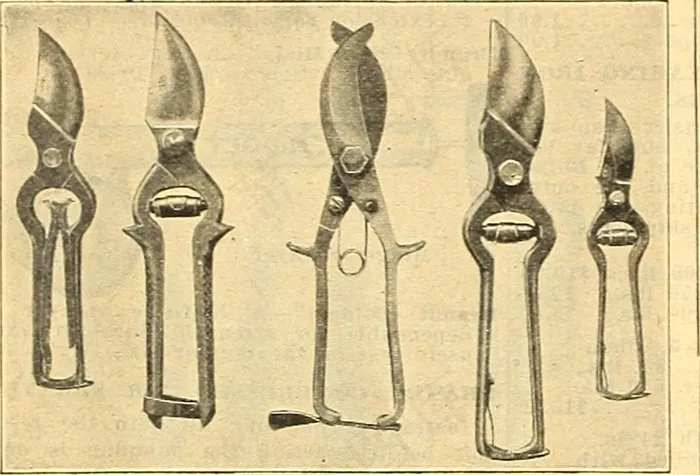 五金,起子,卡通动漫人物,图画,兵器,图片来自“ Currie的农场和花园年度报告：1917年春季”的第97页（1917年）