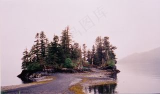 植物,树,街道,风景,工艺品,hatchetkillerisland-4