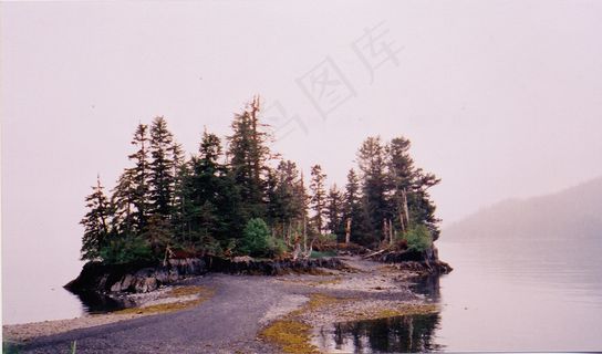 植物,树,街道,风景,工艺品,hatchetkillerisland-4 植物,树,街道,风景,工艺品,hatchetkillerisland-4