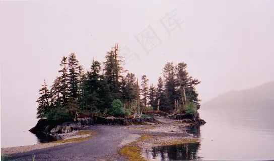 植物,树,街道,风景,工艺品,hatchetkillerisland-4 植物,树,街道,风景,工艺品,hatchetkillerisland-4