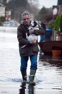 人物特写,美女,城市街道,冰车,滑轮鞋,男子背着他的狗通过洪灾埃格姆