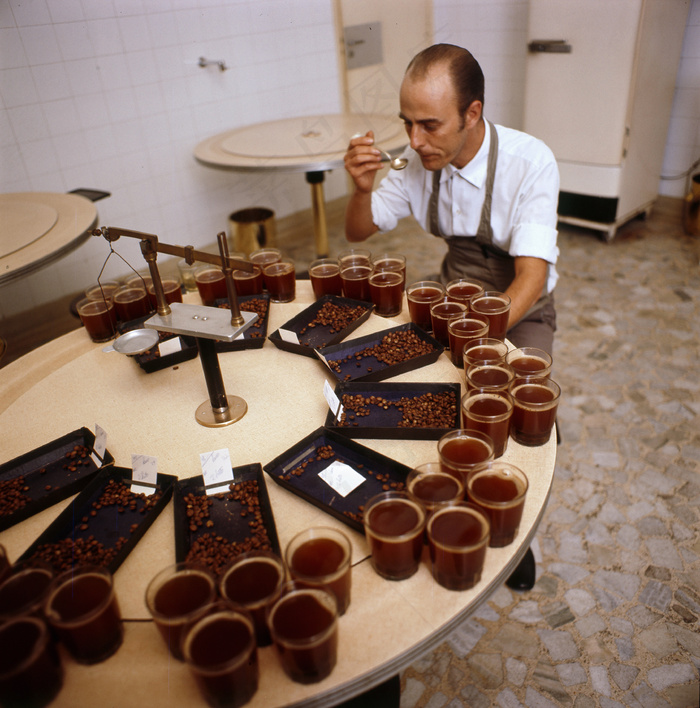 马桶,包装食物-巧克力,跳棋,甜品,吉他,Mogiana农业多元化计划