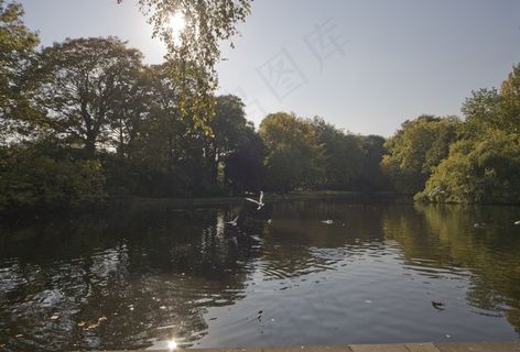 树,街道,江河,湖泊,天空,斯蒂芬的绿色都柏林