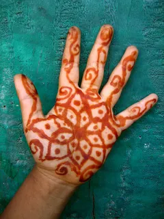 手掌,手,手套,海星,手指甲,盛开