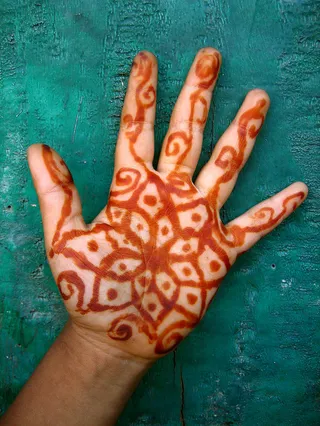 手掌,手,手套,海星,手指甲,盛开