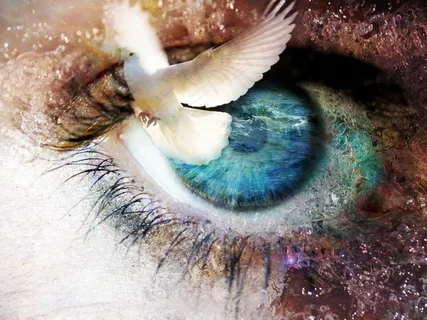 幻灭 幻灭