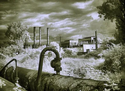 现代建筑,树,大美洲鸵,天鹅,管道