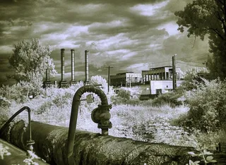 现代建筑,树,大美洲鸵,天鹅,管道