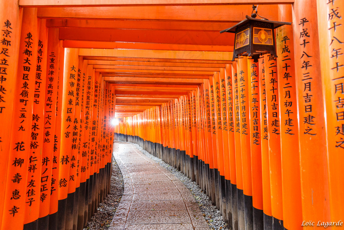 建筑,中式传统建筑,楼梯,剧院/博物馆/礼堂,寺塔,伏见稻荷大社