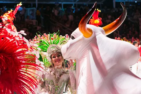 花卉,玫瑰花,工艺品,民俗表演,桑巴舞,大篷车文化节50周年庆典 花卉,玫瑰花,工艺品,民俗表演,桑巴舞,大篷车文化节50周年庆典