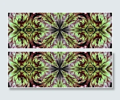 P1180334大丽花万花筒..