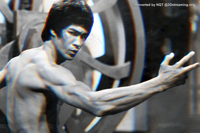 衣架,电线/电缆,雕像,跑步机,NBA,李小龙3D by NQT