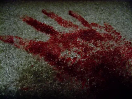 血腥的手印 血腥的手印