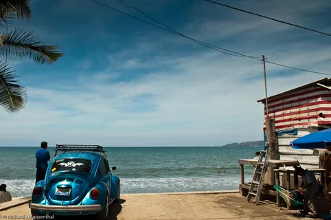 沙滩上的蓝虫 沙滩上的蓝虫