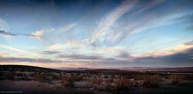 加州沙漠-2009年11月