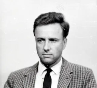 人脸,猫王,中年男性,歌唱家,男孩,人