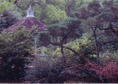 树,山峦,寺塔,自然公园,峡谷,凉亭 树,山峦,寺塔,自然公园,峡谷,凉亭