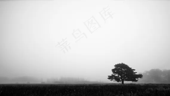 天空,树,轿车,居民楼,负空间 天空,树,轿车,居民楼,负空间