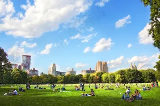 纽约市*公园，'Easy Breezy 'Sheep 's Meadow