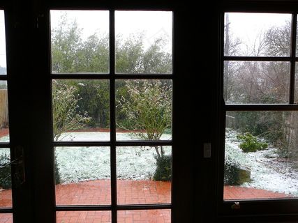 后院有雪 后院有雪
