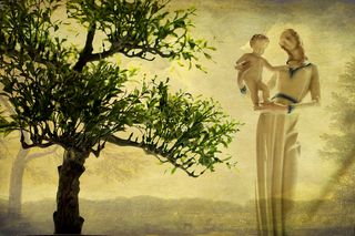 彼得萨·德·波塞拉纳·罗森塔尔