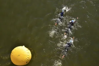 自然公园,鱼池,红鲤,黑天鹅,鸭子,DSC_1763