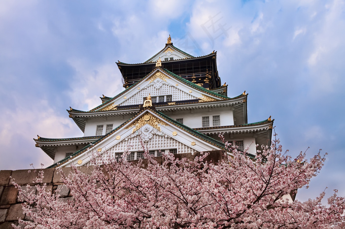 城楼,寺塔,日本樱花,天空,建筑,樱桃城堡