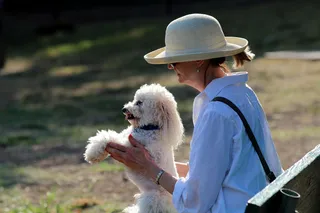 狗,小狗,宠物公园,鸟类,西高地白梗,IMG_7009