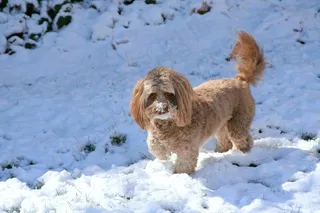 墨菲（Murphy）编辑