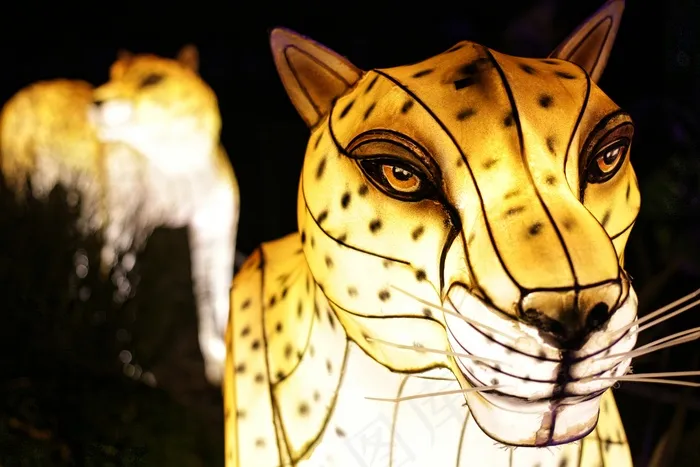 大麦町犬,大麦町犬/斑点狗,动物漫画,斑点犬,斑马,IMG_9956