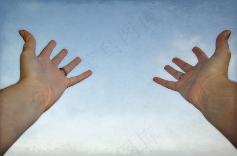 手,手套,手掌,标准洗手法,手模,准备接收